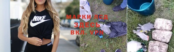 дурь Пересвет