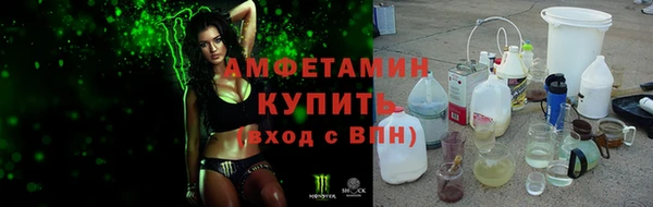 дурь Пересвет