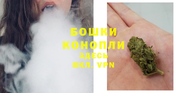 дмт Переславль-Залесский