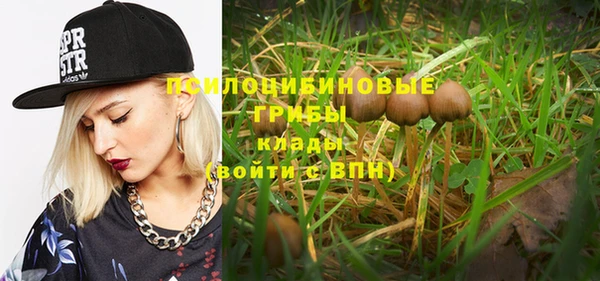 дурь Пересвет
