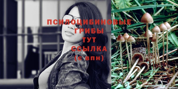 гидра Железноводск