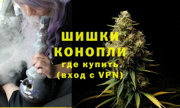 дурь Пересвет