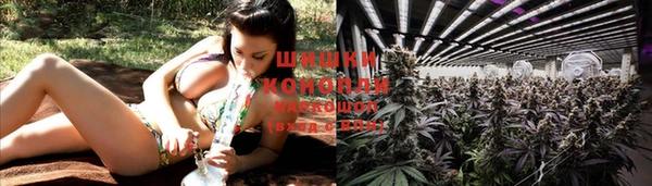 дмт Переславль-Залесский