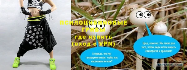 дурь Пересвет