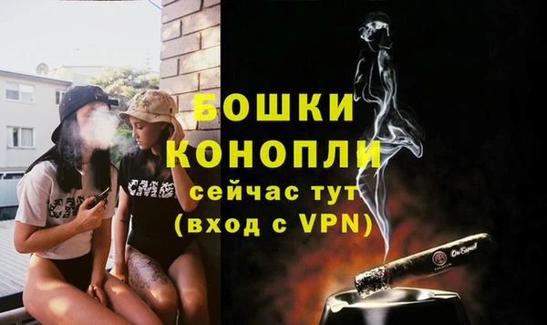 дмт Переславль-Залесский
