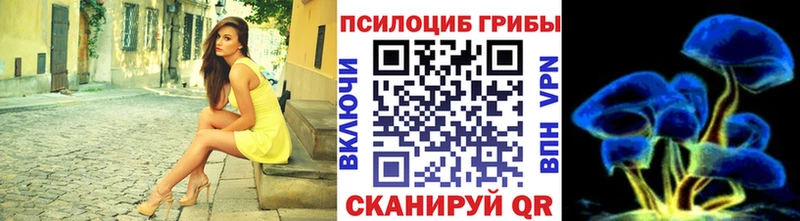 omg ссылки  наркота  Ишимбай  Галлюциногенные грибы Cubensis 