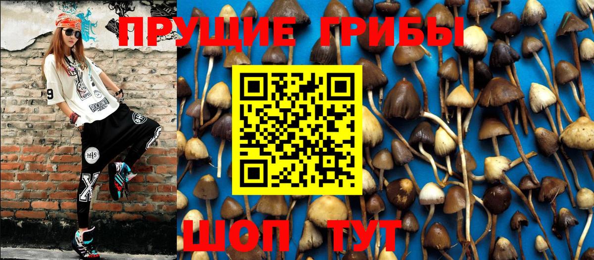 Псилоцибиновые грибы мухоморы Ишимбай