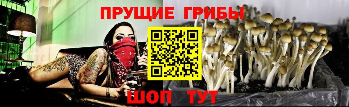 Псилоцибиновые грибы GOLDEN TEACHER  Ишимбай 