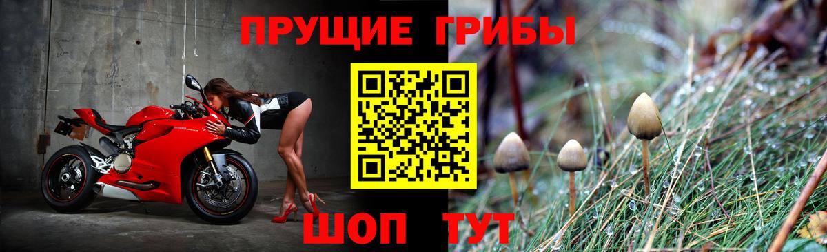 Галлюциногенные грибы GOLDEN TEACHER Ишимбай